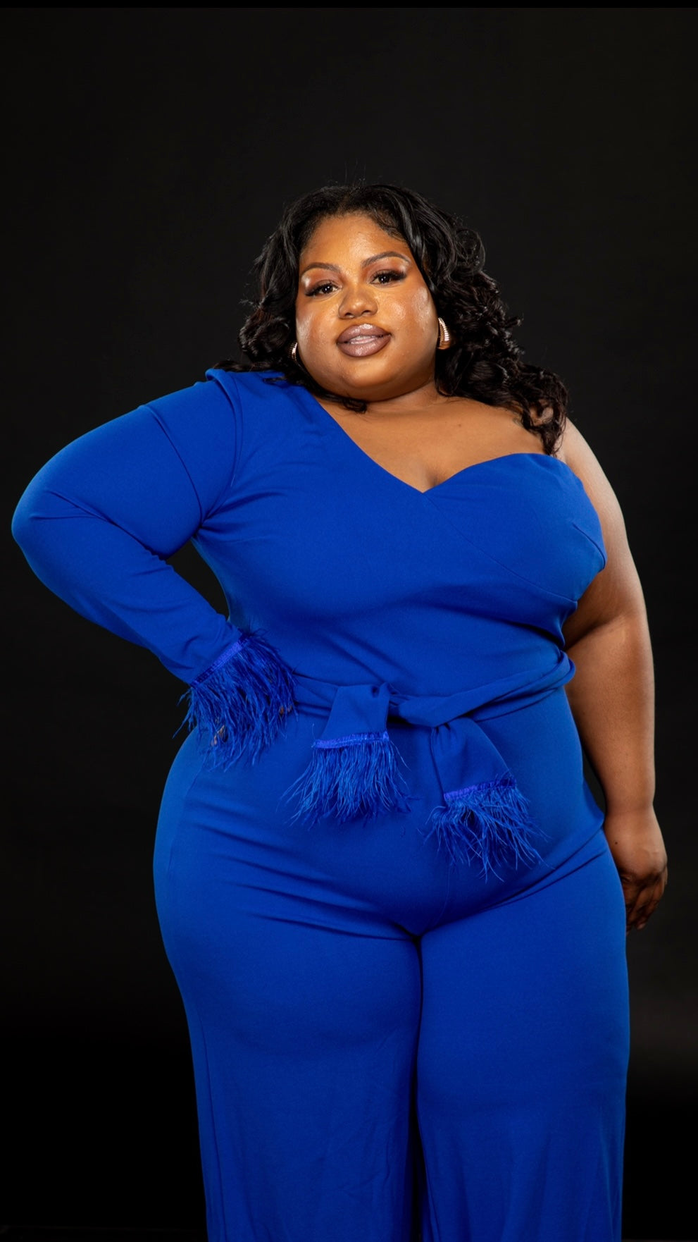 Feather Sleeve Curvy Plus Size Jumpsuit