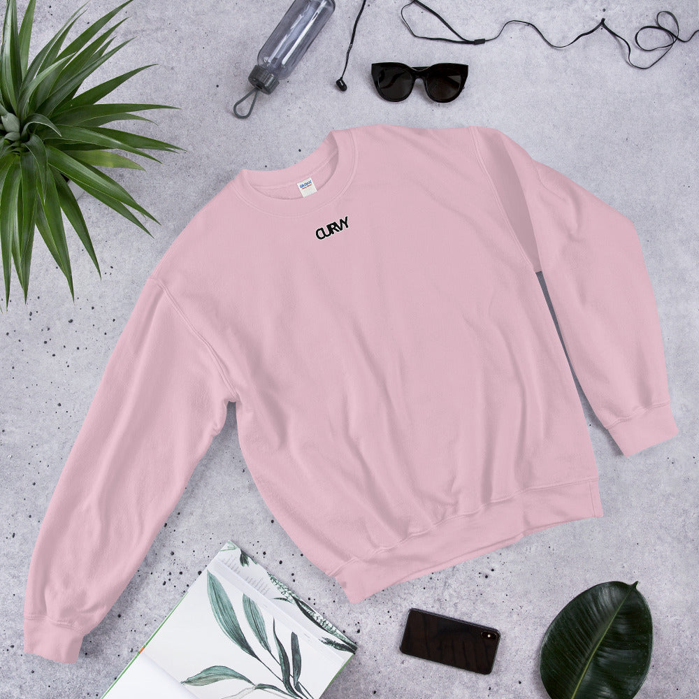 CURVY Sweatshirt curvy-sweatshirt Tops Light Pink / M Curvy Collection
